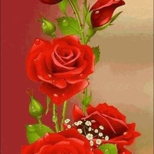 Meet your Posher, Cristina